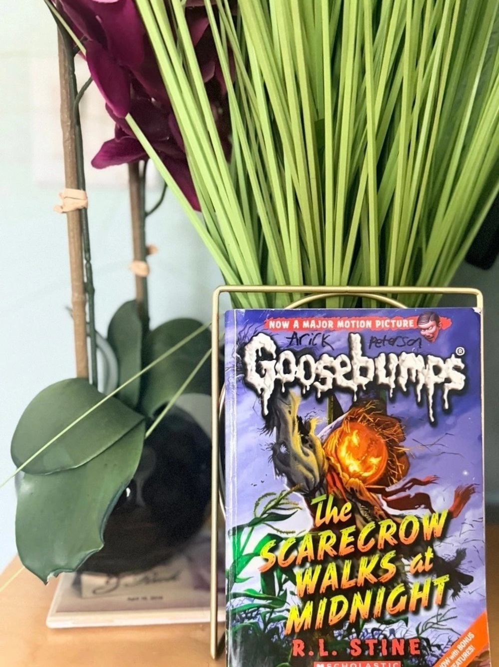 Scholastic Goosebumps #20: The Scarecrow Walks at Midnight Book